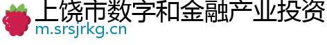 上饶市数字和金融产业投资